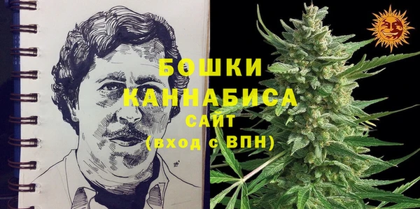 молекула духа Богородск