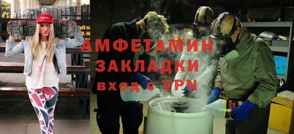 молекула духа Богородск