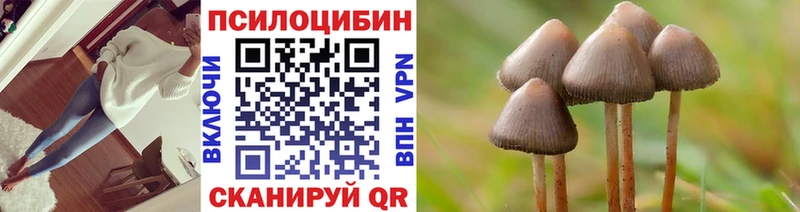 цены Нерюнгри Галлюциногенные грибы Psilocybe